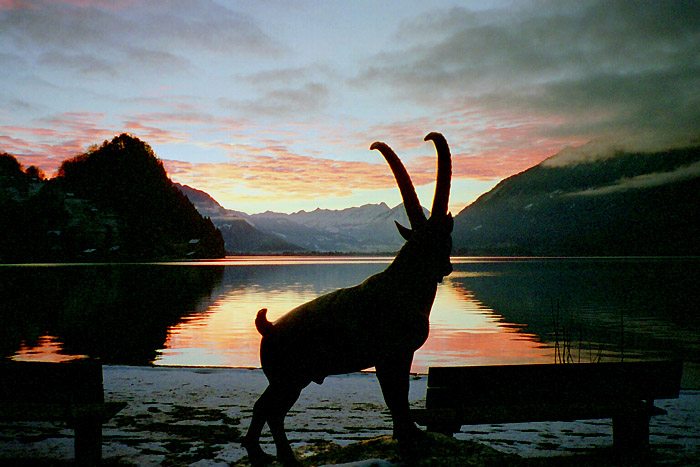 Im April 2007 - Iseltwald am Brienzersee / Foto: Heidi Sommerhalder