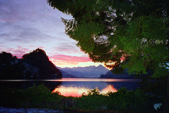 Im April 2007 - am Brienzersee / Foto: Heidi Sommerhalder