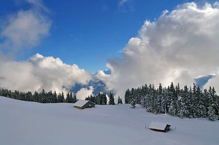 Bilder aktuell / Foto: Fritz Bieri