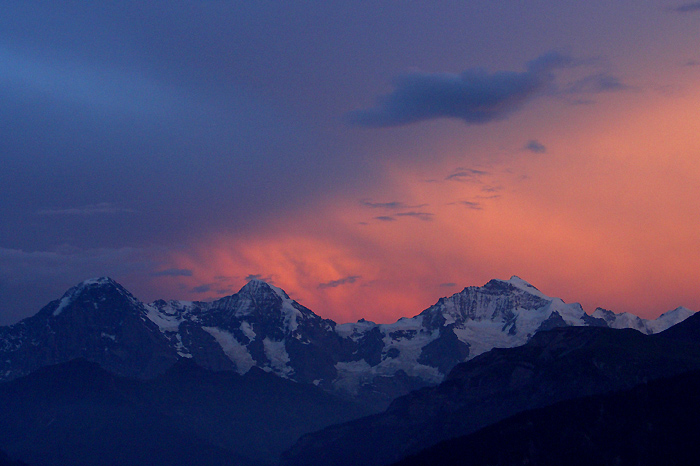 Abendlicht am Jungfraumassiv / Foto: Heinz Rieder