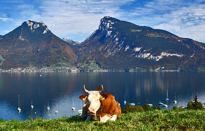 Besuch am Thunersee / Foto: Fritz Bieri