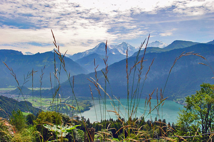 Jungfrau von Beatenberg-Schmocken / Foto: Heinz Rieder