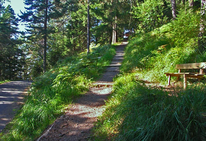 Zugang Aussichtspunkt "Waldbrand" / Foto: Heinz Rieder