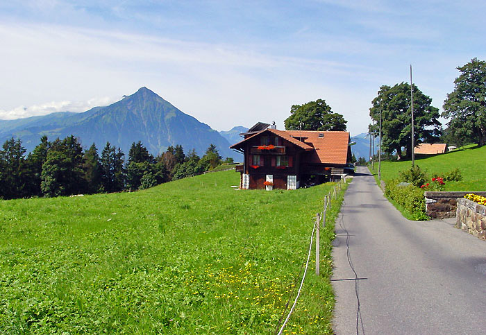 Riedboden / Foto: Heinz Rieder