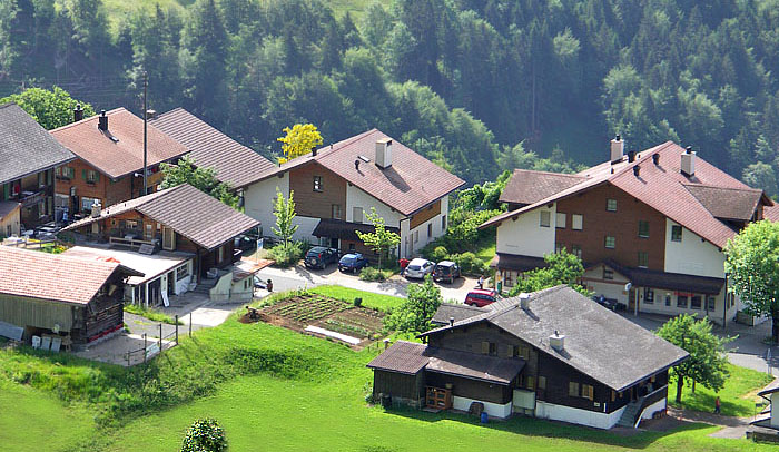 Beatenberg Spirenwald / Photo: Heinz Rieder