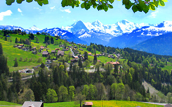 » district Beatenberg-Waldegg / Photo: F.Bieri