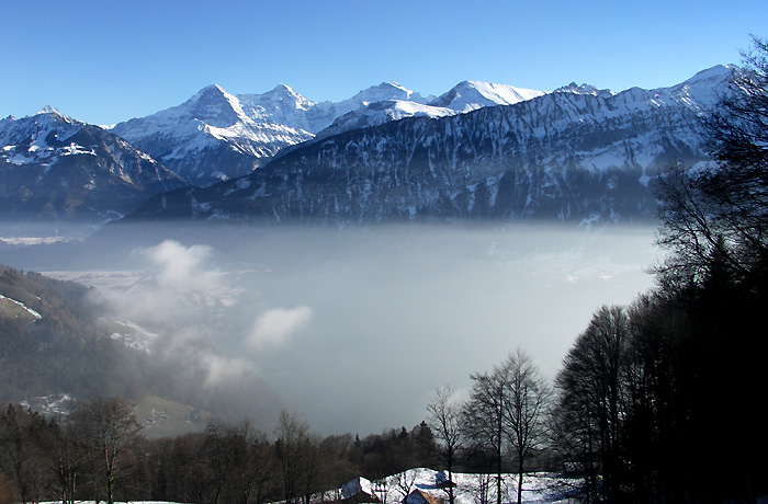 The fog can disappear as quickly as it arrives / Photo: Heinz Rieder