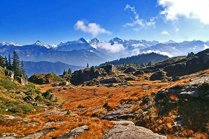 Gebiet Seefeld / Foto: Fritz Bieri