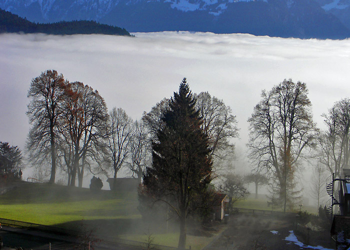 Herbststimmung / Foto: Heinz Rieder