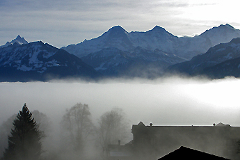 Nebelbank / Foto: Heinz Rieder