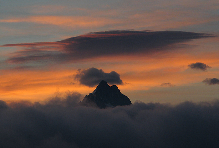 Schreckhorn / Foto: Fritz Bieri