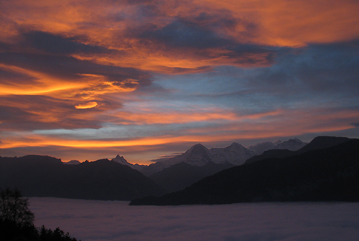 Jungfraumassiv / Foto: Fritz Bieri