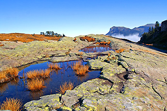 Wassertümpel / Foto: Fritz Bieri