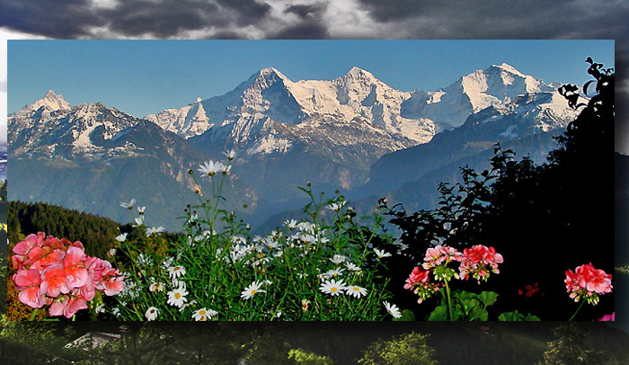 » Beatenberg-Spirenwald, Lake Thun, Därligen (photo: H.Rieder)