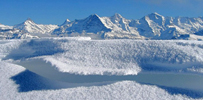Niederhorn Winter / Foto: Fritz Bieri