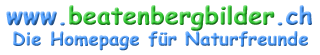 logo_beatenbergbilder_2007_5c.png / Hintergrund transparent