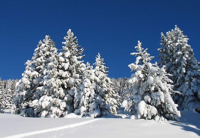 Winter (Photo: Fritz Bieri)