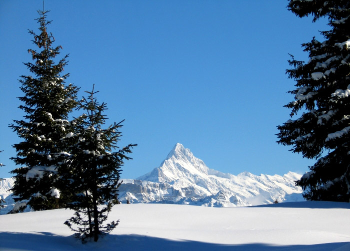 Winter (Photo: Fritz Bieri)