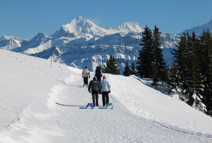 Winter Niederhorngebiet (Bild: Fritz Bieri)