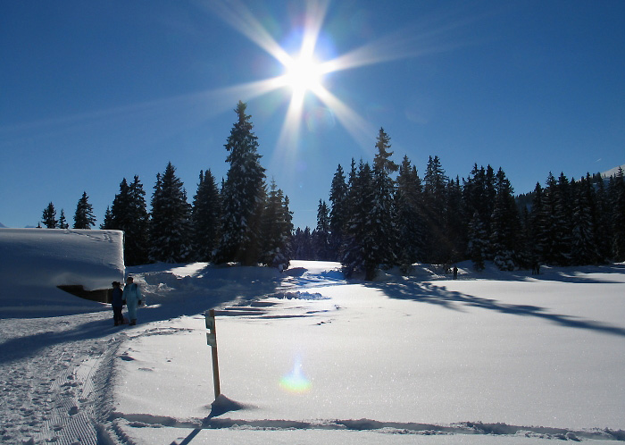 Winter (Photo: Fritz Bieri)