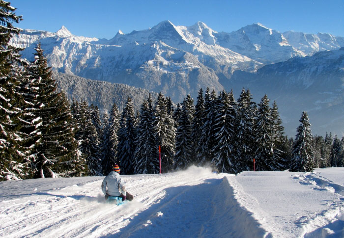 Winter/Schlitteln/Speed (Bild: Fritz Bieri)