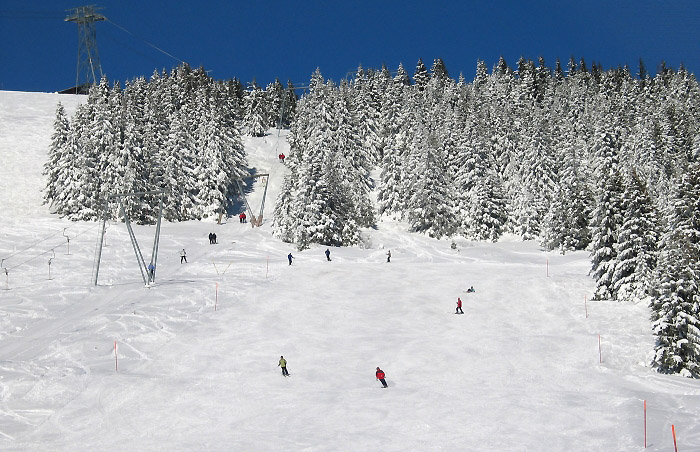 Winter Niederhorngebiet Skifahrer (Bild: Fritz Bieri)