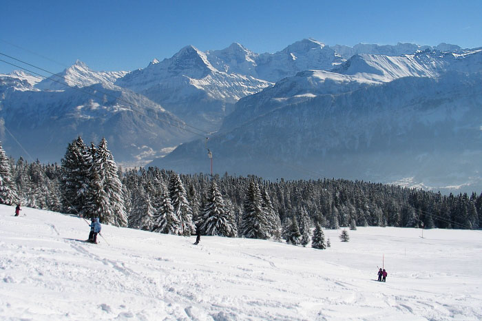 Winter Niederhorngebiet Skifahrer (Photo: Fritz Bieri)