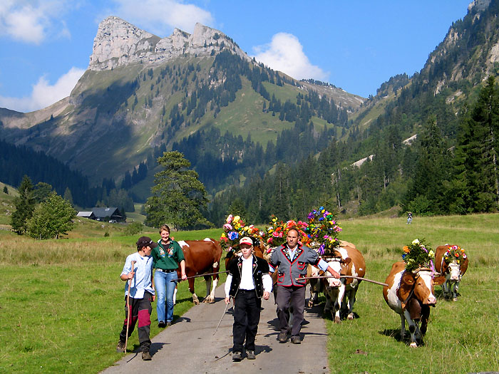 Alpabzug / Foto: Fritz Bieri