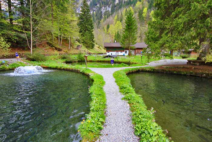 Blausee / Foto: Fritz Bieri