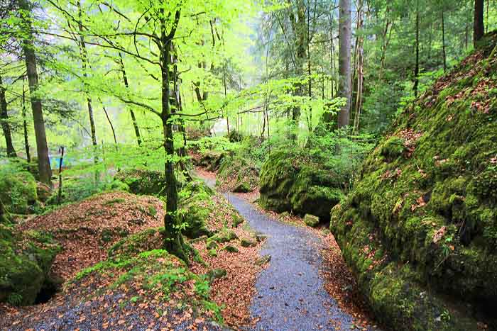 Blausee / Foto: Fritz Bieri