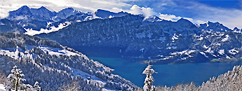 » Location: Beatenberg-Spirenwald (Sunnebode) / Photo: H.Rieder