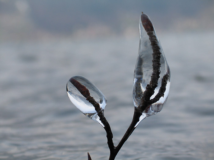 Frosting / to turn to ice ... (Photo: Fritz Bieri)