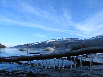 Frosting / to turn to ice ... (Photo: Fritz Bieri)
