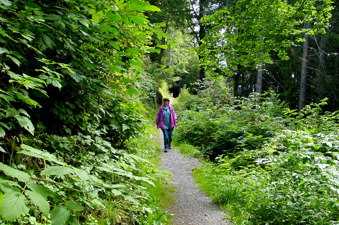 Erich-von-Däniken-Way / Photo: Heinz Rieder
