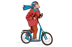 Trotti bikes can be hired ...