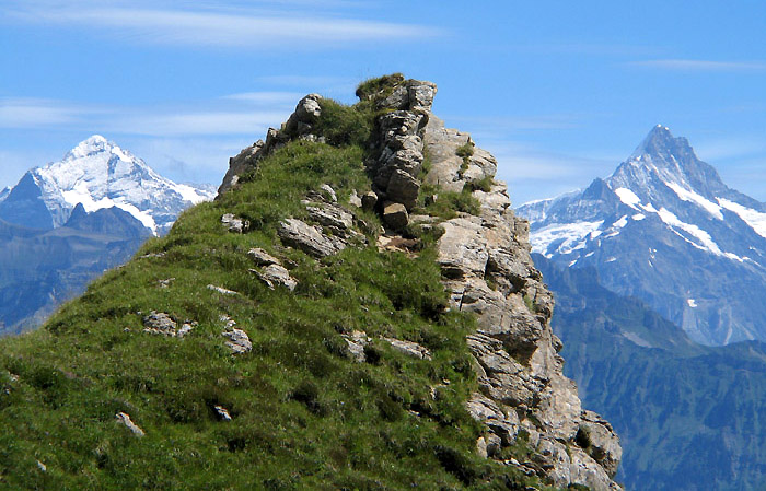Region Niederhorn / Photo: Fritz Bieri