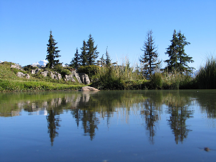 Lake Oberbergli / Unterbergli / Photo: Fritz Bieri