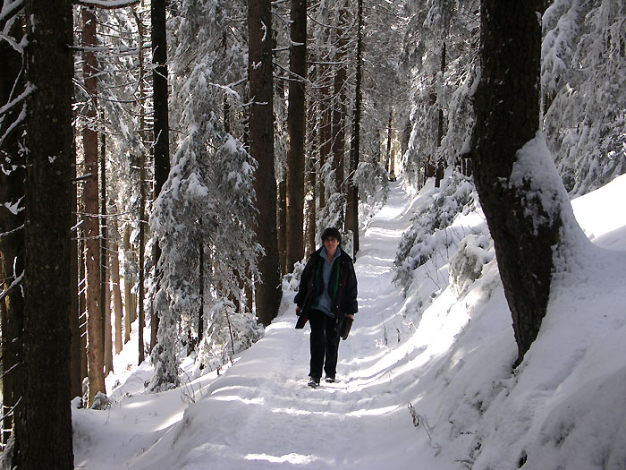 Hiking trail Rischerli / Photo: Heinz Rieder