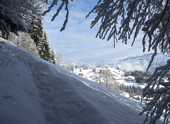 Hiking trail above Beatenberg-Spirenwald / Photo: Heinz Rieder