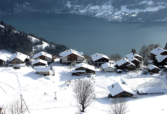 Beatenberg-Spirenwald / Lake Thun / Photo: Heinz Rieder