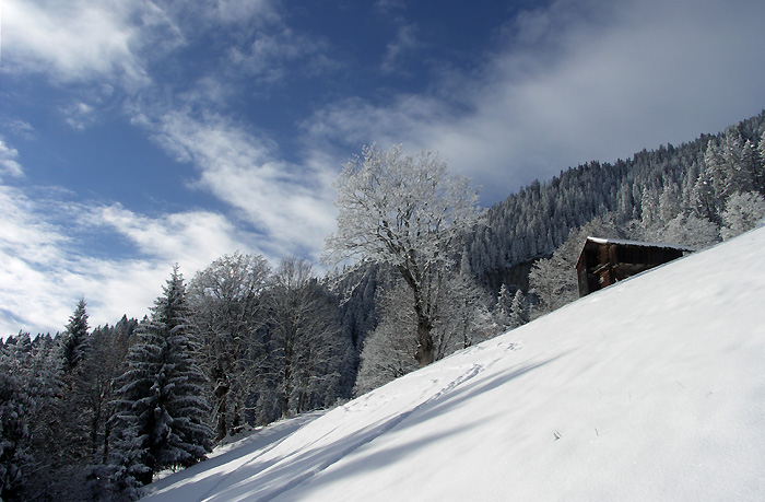 wintertime / Photo: Heinz Rieder