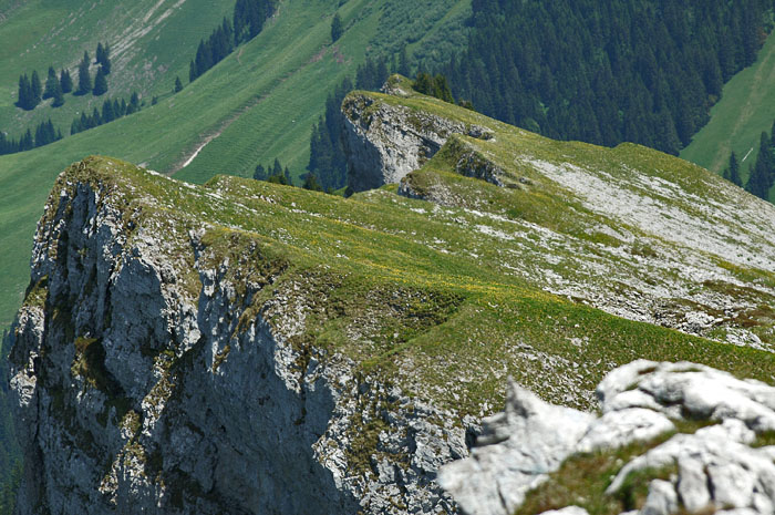 Seefeld (telephoto) Foto: Fritz Bieri