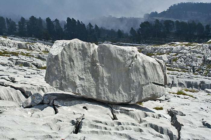 Felsblock (Foto: Fritz Bieri)