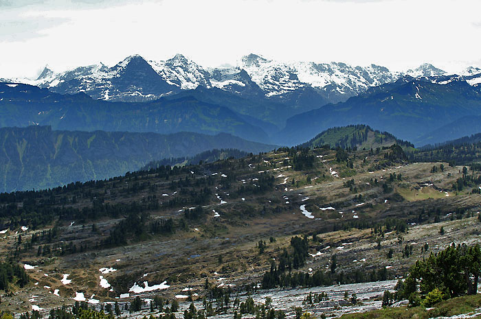 Seefeld and Eiger, Mönch, Jungfrau (Foto: Fritz Bieri)