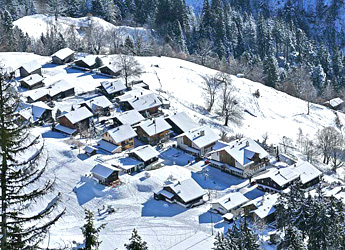 Spirenwald / Photo: Fritz Bieri