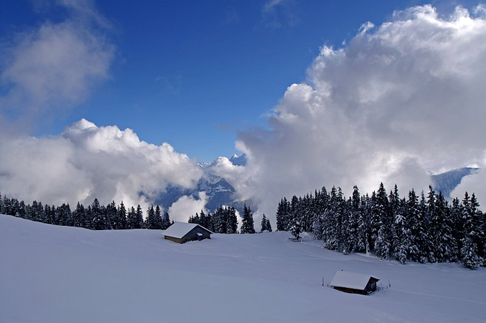 "Flösch" below the Niederhorn / Photo: Fritz Bieri