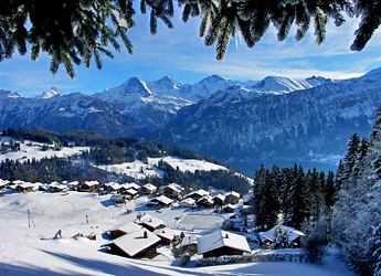 Spirenwald / Photo: Heinz Rieder