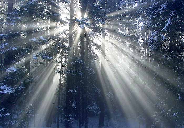 Ambience - early in the morning / Photo: Fritz Bieri