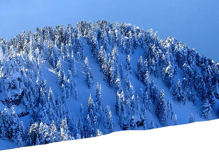 Waldkuppe / Photo: Fritz Bieri