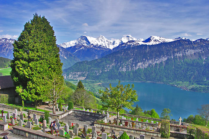 Cemetery with fantastic view of Lake Thun / Photo: Heinz Rieder